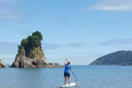 Paddle Surf