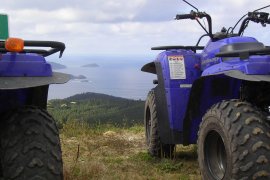 Quads viveiro