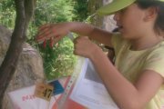 Actividad de Orientación en Lugo